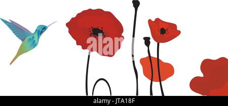 Vector Illustration der Mohnblumen floral background mit Kolibris Stock Vektor