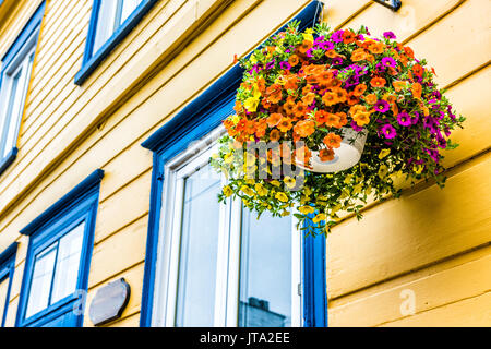 Hängender Blumentopf Nahaufnahme von Sommer lebendige calibrachoa Blumen von bemalten Haus Stockfoto