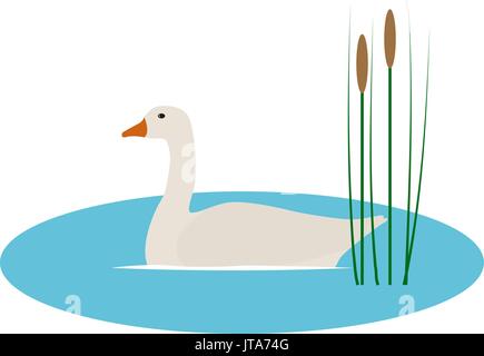 Vector Illustration Wild Goose im Teich mit Schilf Stock Vektor