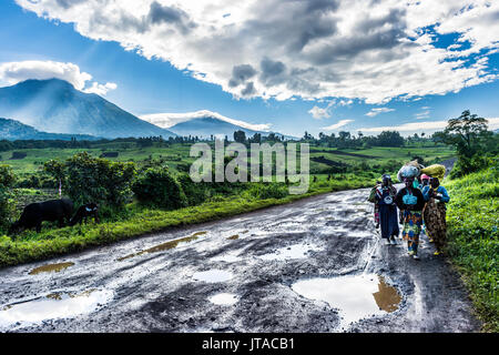 Die lokalen Frauen, die Beförderung von Waren auf dem Kopf mit dem vulkanischen Gebirgskette der Virunga National Park hinter, Kongo Stockfoto