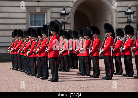 Coldstream Guards auf Parade während der Ablösung der Wache, Buckingham Palace, London, England, Vereinigtes Königreich, Europa Stockfoto