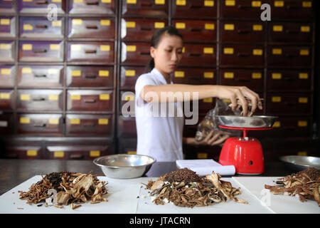 Pflanzliche Medizin Therapie, Traditionelle Chinesische Medizin, Pharmazie, Ho Chi Minh City, Vietnam, Indochina, Südostasien, Asien Stockfoto