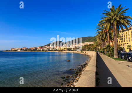 Saint Francois Strandpromenade mit Palmen, Morgenlicht, Ajaccio, Korsika, Mittelmeer, Frankreich, Mittelmeer Stockfoto