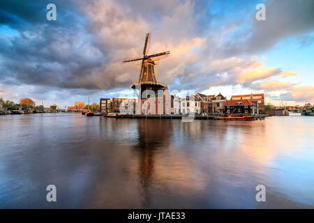 Rosa Wolken bei Sonnenuntergang auf die Mühle De Adriaan, spiegelt sich in den Fluss Spaarne, Haarlem, Nord Holland, Niederlande, Europa Stockfoto