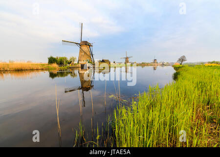 Dämmerung auf Windmühlen in den Kanal umgeben von grünen Wiesen, Kinderdijk, UNESCO, Molenwaard, Südholland, Niederlande nieder Stockfoto