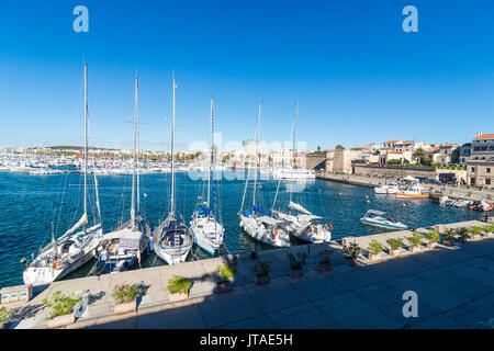 Blick über den Hafen von der Küstenstadt Alghero, Sardinien, Italien, Mittelmeer, Europa Stockfoto