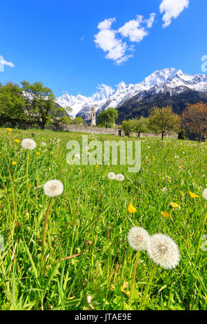 Grüne Wiesen Rahmen die Kirche von Soglio im Frühjahr, Maloja, Bergell, Engadin, Kanton Graubünden, Schweiz Stockfoto