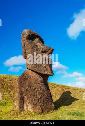 Moai am Steinbruch am Hang des Rano Raraku Vulkans, Nationalpark Rapa Nui, UNESCO, Osterinsel, Chile Stockfoto