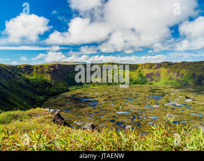 Krater des Rano Kau Vulkan, Osterinsel, Chile Stockfoto
