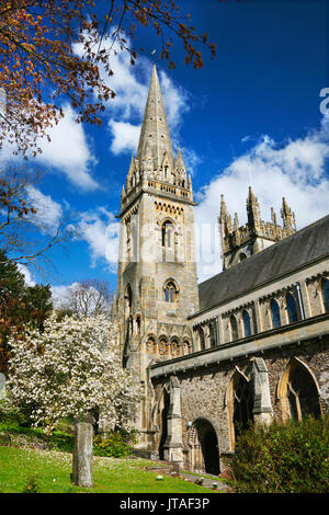 Llandaff Cathedral, Cardiff, Wales, Vereinigtes Königreich, Europa Stockfoto