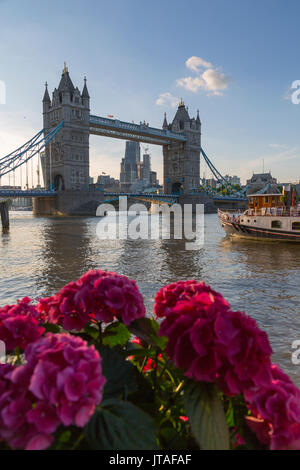 Die Tower Bridge und die City von London Skyline von Butler's Wharf, London, England, Vereinigtes Königreich, Europa Stockfoto