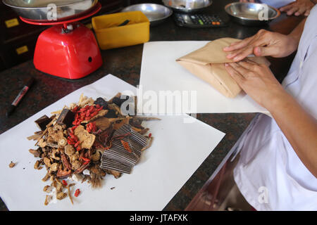 Traditionelle Chinesische Medizin Apotheke, pflanzliche Medizin, Therapie, Ho Chi Minh City, Vietnam, Indochina, Südostasien, Asien Stockfoto