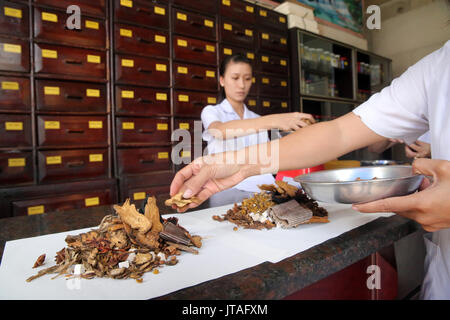 Traditionelle Chinesische Medizin Apotheke, pflanzliche Medizin, Therapie, Ho Chi Minh City, Vietnam, Indochina, Südostasien, Asien Stockfoto