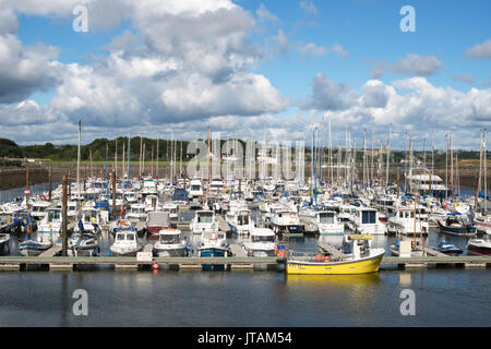 Schlendern Sie Marina, Northumberland, England, Großbritannien Stockfoto