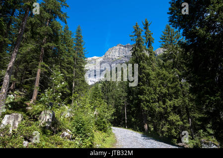 Die wilde Natur in den Alpen der Schweiz Stockfoto