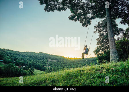 Eine weibliche Wanderer ist auf einer Schaukel im Wald mit Blick auf die Berge. Stockfoto