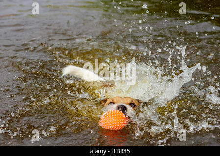 Halten Sie Ihren Kopf über Wasser springen in Tiefe Stockfoto