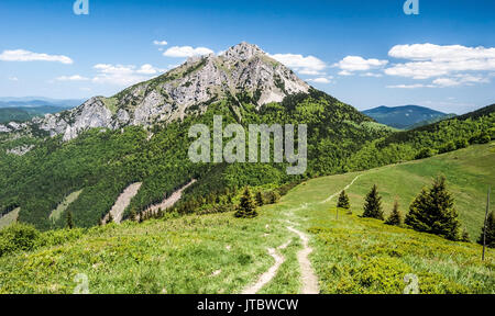 Stohove sedlo mit Bergwiese, vereinzelte Bäume und Wanderweg mit Rocky Velky Rozsutec Hügel in krivanska Mala Fatra Gebirge in der Slowakei Stockfoto