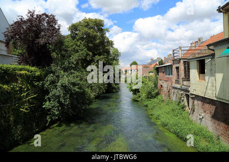 Fluss Authie von der Rue Vermaelen, Auxi-le-Château, Pas-de-Calais, Ile de France, Frankreich Stockfoto