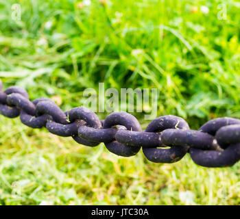 Schwarzes Eisen Kette auf Gras Hintergrund. Industrielle, Natur Stockfoto