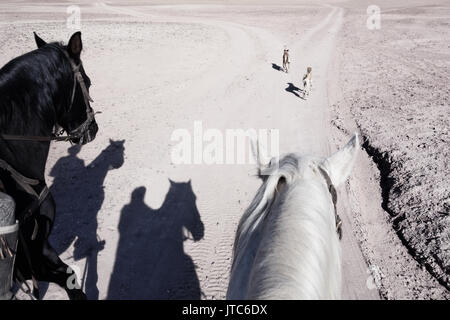 Reiter (Schatten) mit Hunden auf steinigen Wüste Plateau mit abzweigenden Straßen. Stockfoto