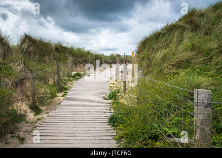 Ein Holzsteg über Sanddünen in Marram Gras an Gwithian Towans in Cornwall abgedeckt. Stockfoto