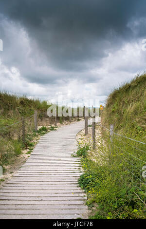 Ein Holzsteg über Sanddünen in Marram Gras an Gwithian Towans in Cornwall abgedeckt. Stockfoto