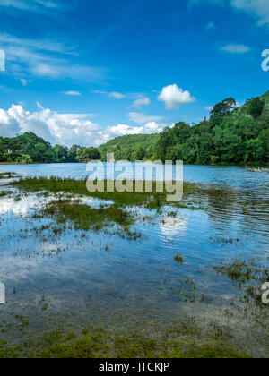 Bereich um Castet See, Pyrénées-Atlantiques, Frankreich. Stockfoto