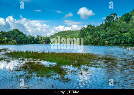 Bereich um Castet See, Pyrénées-Atlantiques, Frankreich. Stockfoto