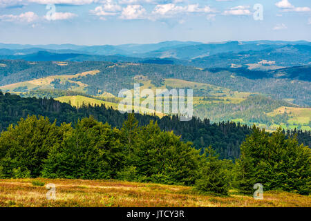 Wald am Hang des Karpaten Bergrücken. Schön in die ländliche Tal im späten August Abend Stockfoto