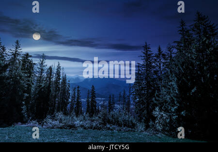 Wald auf einer Wiese in der Hohen Tatra Bergkamm Fichte. Schönen sonnigen Tag in Polen Landschaft Stockfoto