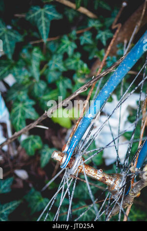 Detail eines verlassenen alten Vintage rostiges Fahrrad mit Ivy auf dem Hintergrund in ländlichen in der italienischen Landschaft Halle gefunden. Stockfoto