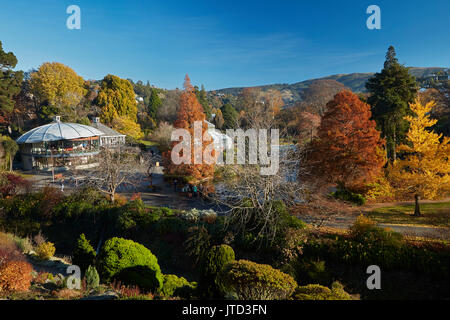 Herbst Farbe, botanischen Gärten, Dunedin, Otago, Südinsel, Neuseeland Stockfoto