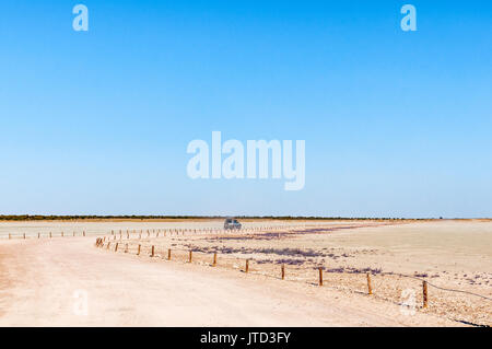 Der Blick vom Aussichtspunkt auf der Etosha-pfanne im Norden Namibias Stockfoto