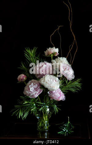 Päonien in einem weichen noch Leben Porträt, die Blumen in voller Blüte in sanften natürlichen Umgebungslicht mit einer dunklen/schwarzen Hintergrund Stockfoto