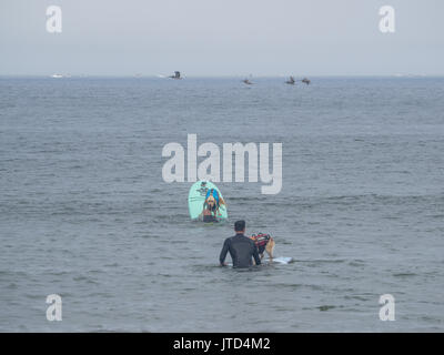 Pacifica, CA/USA - August 5, 2017: Die zweite jährliche World Dog Surfen Meisterschaften brachte die Top Dog Surfer und ihren Menschen. Stockfoto