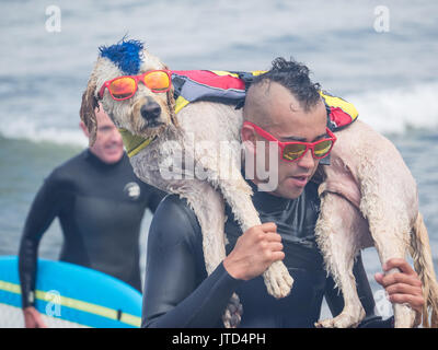 Pacifica, CA/USA - August 5, 2017: Die zweite jährliche World Dog Surfen Meisterschaften brachte die Top Dog Surfer und ihren Menschen. Stockfoto