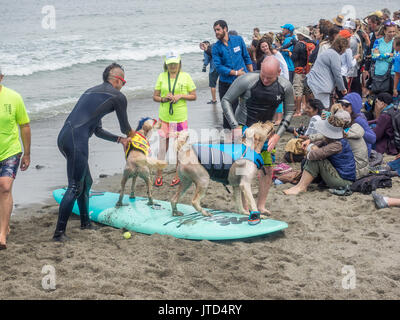 Pacifica, CA/USA - August 5, 2017: Die zweite jährliche World Dog Surfen Meisterschaften brachte die Top Dog Surfer und ihren Menschen. Stockfoto