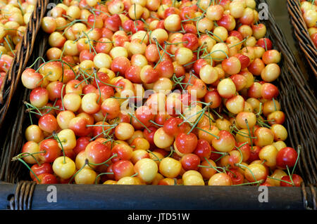 Basket of fresh Rainier cherries on display in a market, Vancouver, BC, Canada Stockfoto