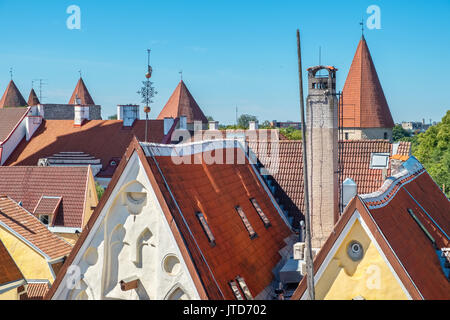 Blick auf die roten Dächer der Altstadt. Tallinn, Estland, Europa Stockfoto