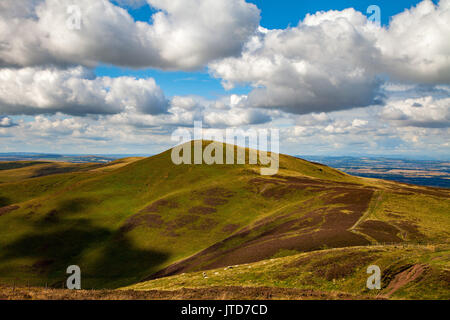 Blick auf die Pentland Hills mit Schaf im Vordergrund in der Nähe von Edinburgh in Schottland Stockfoto