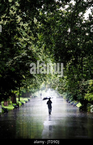 Ein Mann geht durch den Regen im Regents Park, London, als nasses Wetter weiterhin die UK zu schlagen. Stockfoto