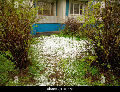 Unerwartete Schnee im Frühling in Moskau Bezirk Teply Stan Stockfoto