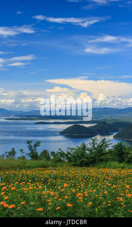 schöne Ringelblume Garten vor blauen Srinakarin Damm mit klaren, blauen Himmel, Provinz Kanchanaburi, Thailand Stockfoto