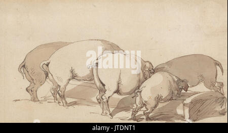 Thomas Rowlandson Schweine am Trog Stockfoto