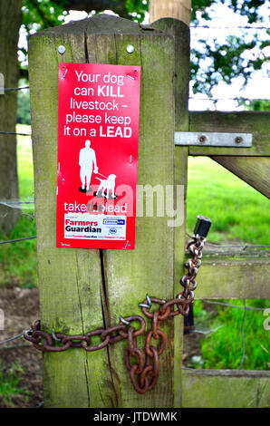 Kent, England, UK. Zeichen auf ein Land, das Tor zu einem Feld von Schafen Warnung Hunde an der Leine zu halten. Stockfoto