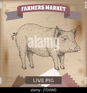 Vintage Farmers Market Label mit live Schwein. Stock Vektor