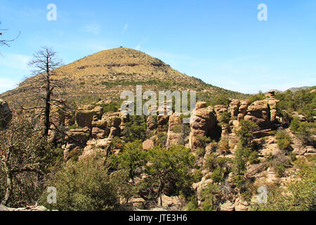 Sugarloaf Mountain in Echo Canyon mit Rock hoodoos Formationen in der Chiricahua National Monument in der Nähe von Wilcox, im südlichen Arizona, USA. Stockfoto