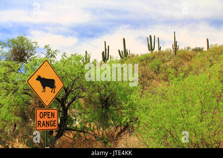 Offener Bereich Rinder Kreuzung Warnschild entlang einer Straße in Arizona. Stockfoto