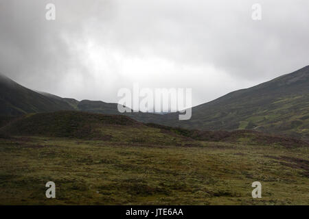 Schottland, Highlands, Scottish Landscape, Countryside, Shrubbery und Undergrowth, Trübe Atmosphäre, Bewölkt, Foggy, Grün, Abstrakte Landschaft, Felder Stockfoto